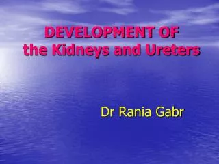 DEVELOPMENT OF the Kidneys and Ureters