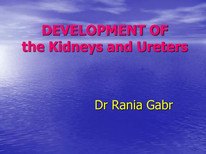 development of the kidneys and ureters