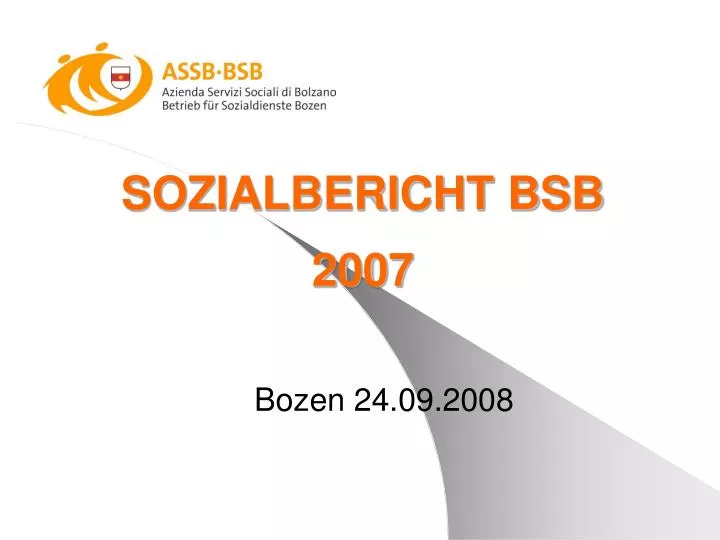sozialbericht bsb 2007