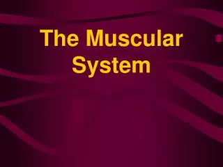 The Muscular System