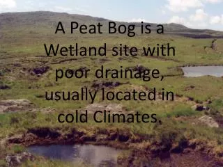 A Peat Bog is a Wetland site with poor drainage, usually located in cold Climates.