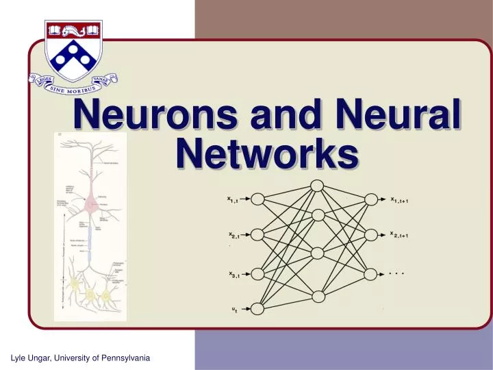 neurons and neural networks