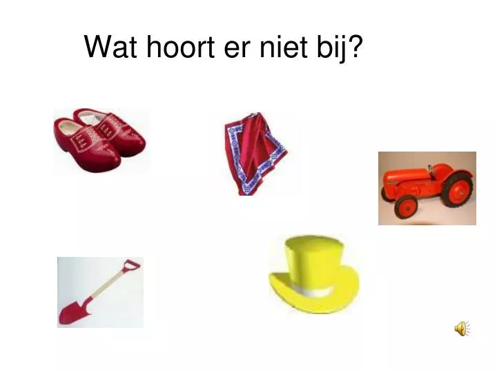 wat hoort er niet bij