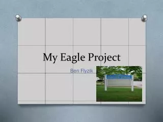 My Eagle Project