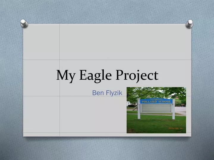 my eagle project
