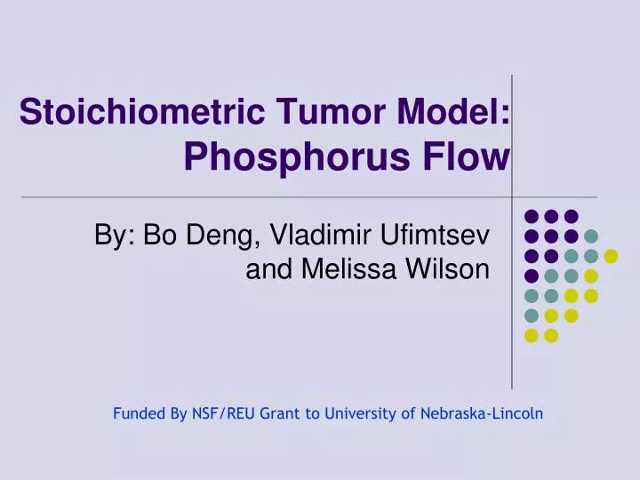 stoichiometric tumor model phosphorus flow