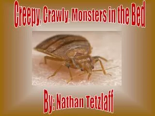 Creepy, Crawly, Monsters in the Bed