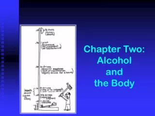 Chapter Two: Alcohol and the Body
