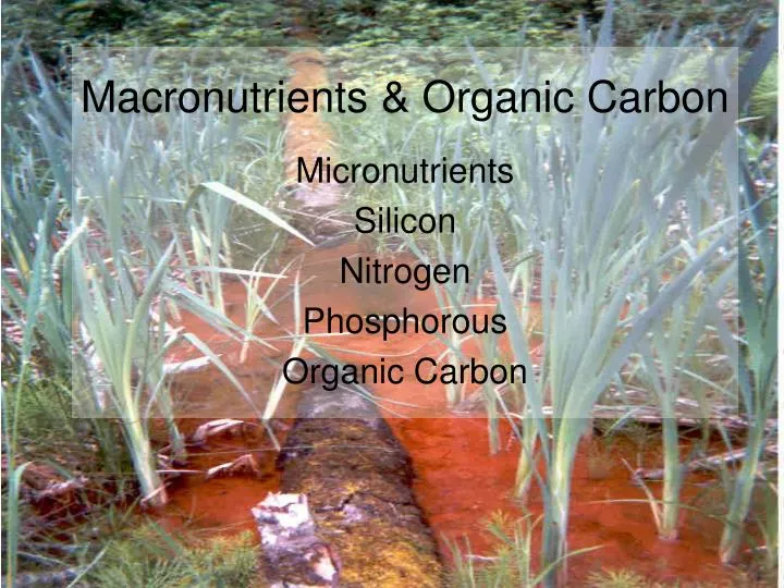 macronutrients organic carbon