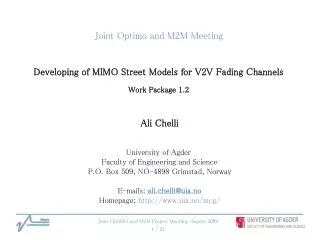 Joint Optimo and M2M Meeting Developing of MIMO Street Models for V2V Fading Channels