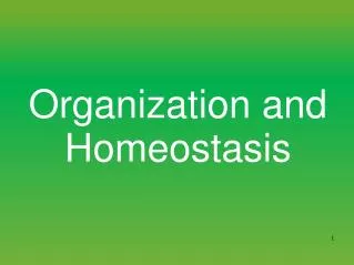 Organization and Homeostasis