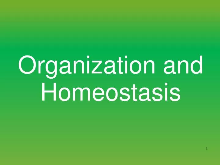 organization and homeostasis