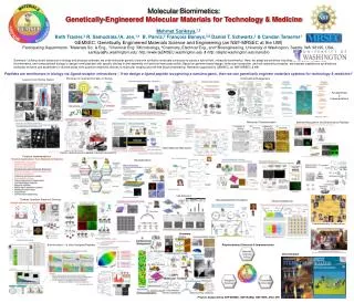 Molecular Biomimetics : Genetically-Engineered Molecular Materials for Technology &amp; Medicine