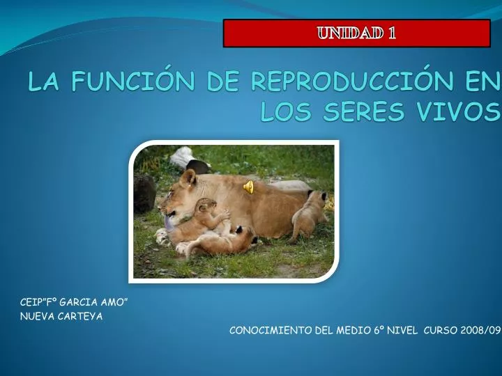 la funci n de reproducci n en los seres vivos