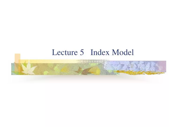 lecture 5 index model