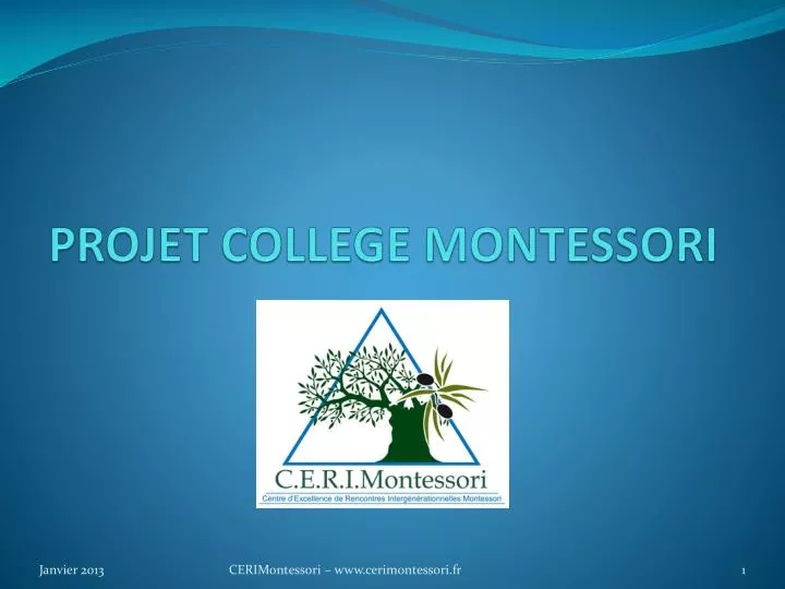 projet college montessori