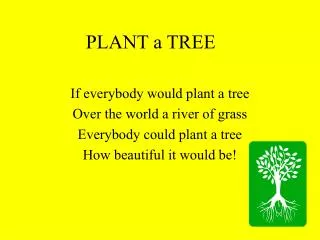 PLANT a TREE