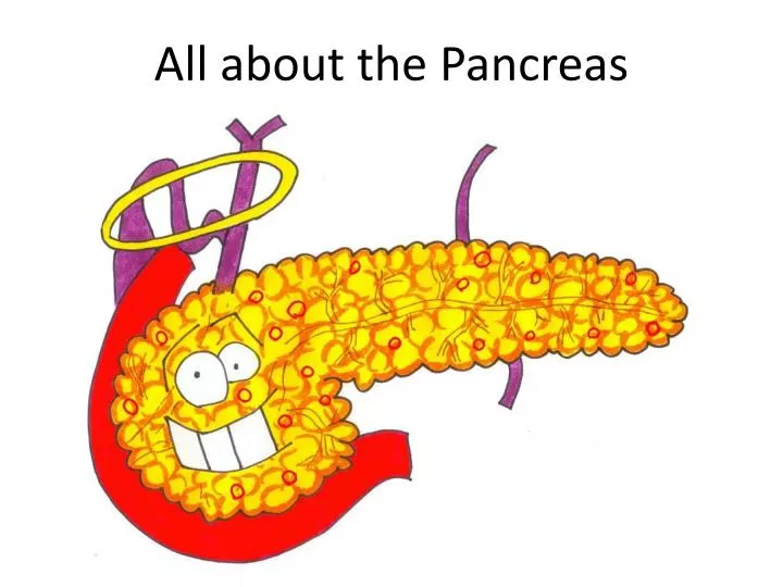all about the pancreas