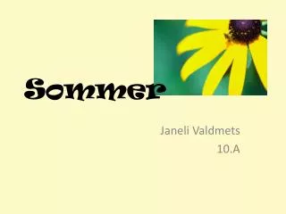sommer