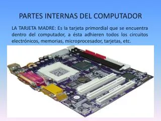 partes internas del computador