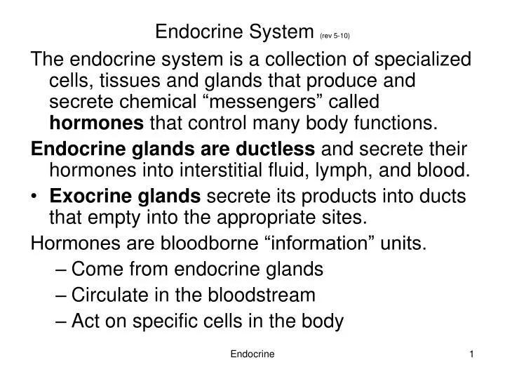 endocrine system rev 5 10