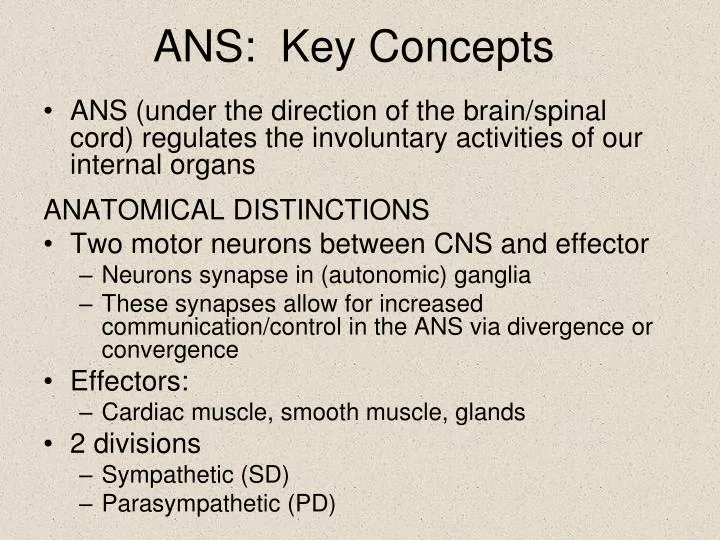 ans key concepts