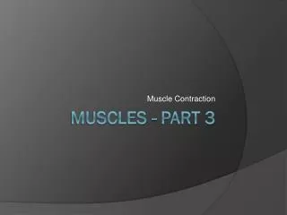 Muscles - part 3