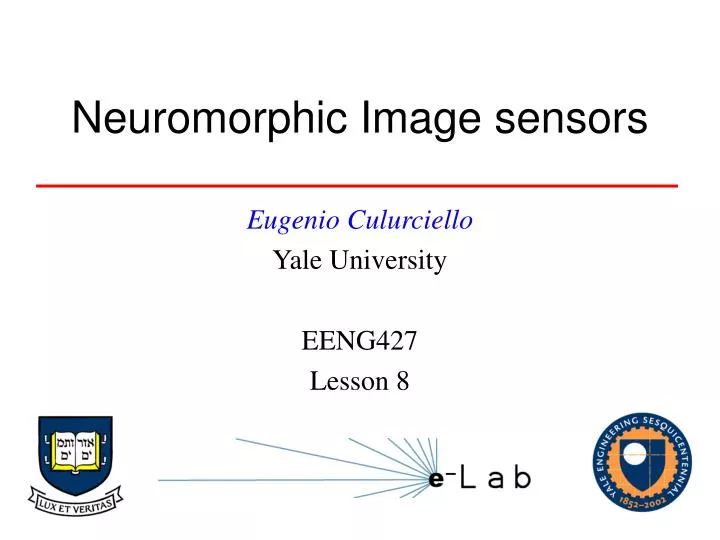 neuromorphic image sensors