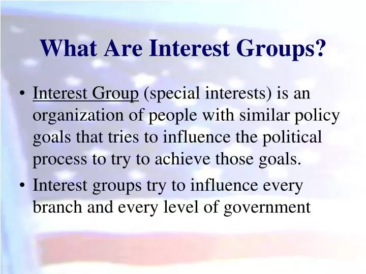 what are interest groups