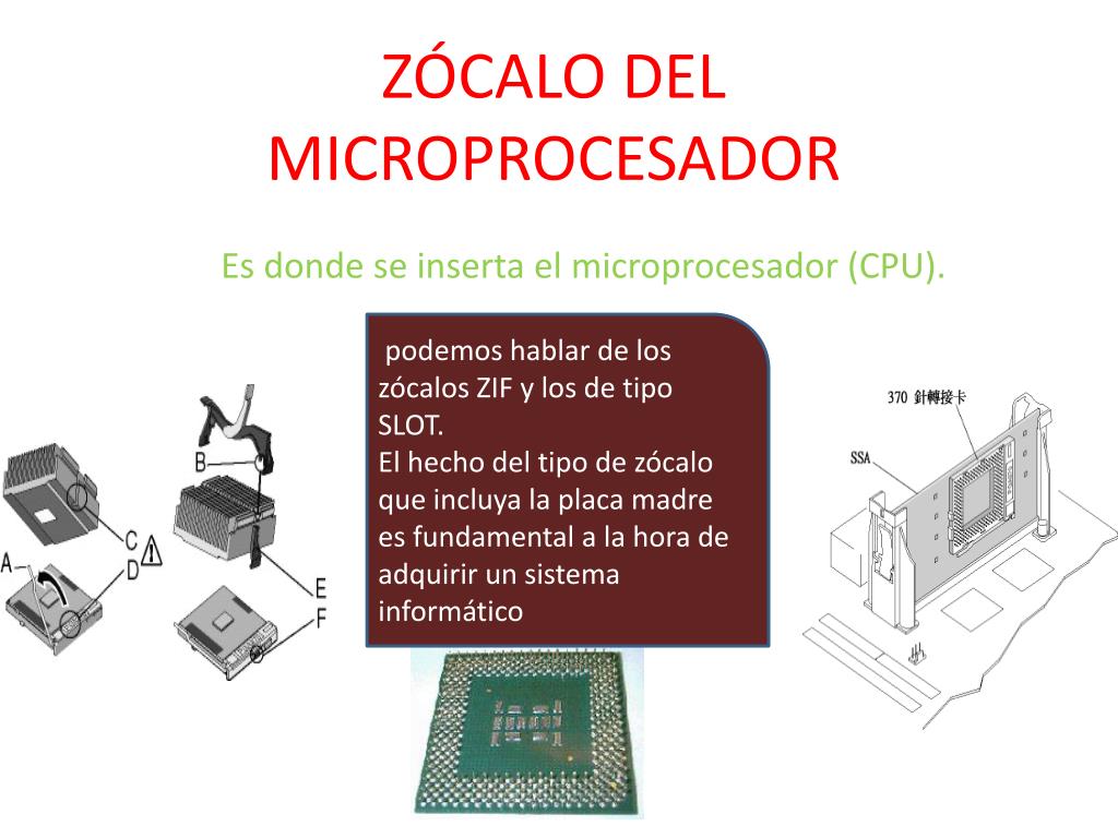 PPT - ZÓCALO DEL MICROPROCESADOR PowerPoint Presentation, free download