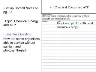 Set up Cornell Notes on pg. 37 Topic: Chemical Energy and ATP Essential Question :