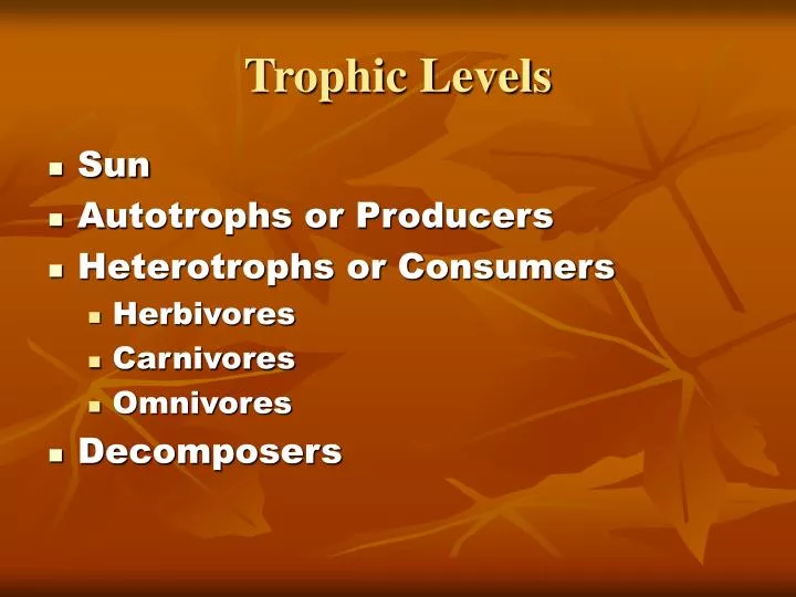 trophic levels