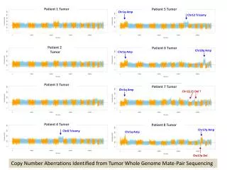 Patient 1 Tumor