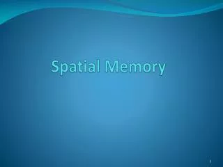 spatial memory