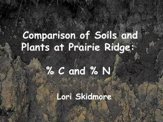Comparison of Soils and Plants at Prairie Ridge: % C and % N