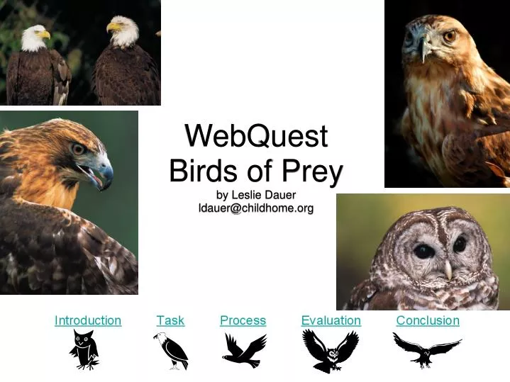 webquest birds of prey by leslie dauer ldauer@childhome org