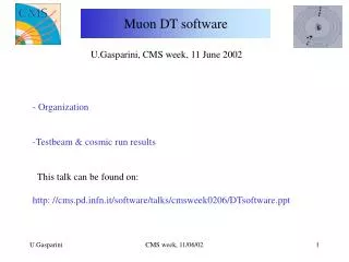 Muon DT software