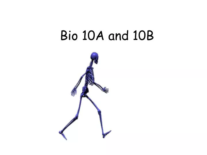 bio 10a and 10b