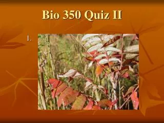 Bio 350 Quiz II