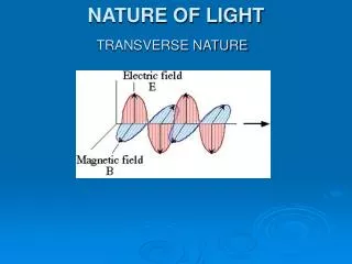 NATURE OF LIGHT