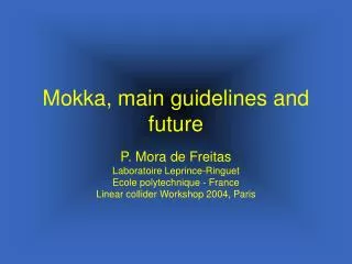 Mokka, main guidelines and future