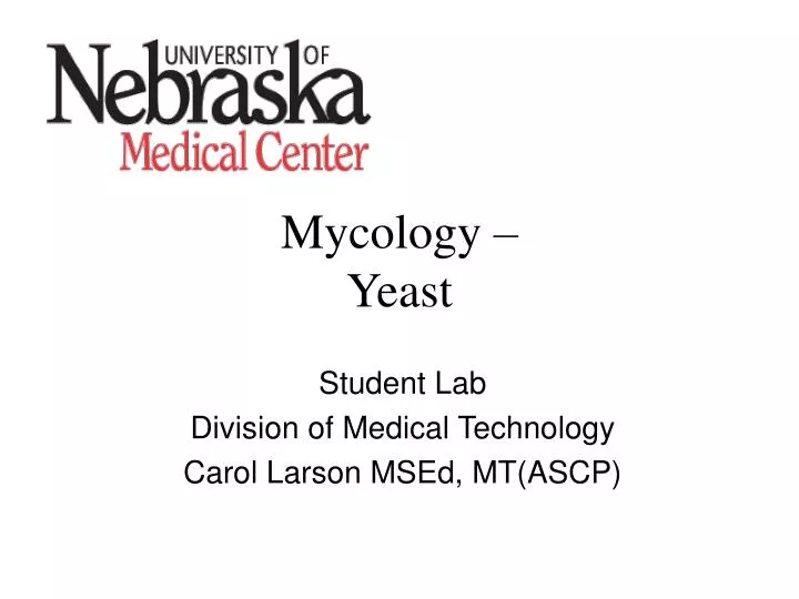 mycology yeast