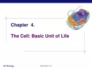 Chapter 4. The Cell: Basic Unit of Life