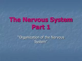 The Nervous System Part 1