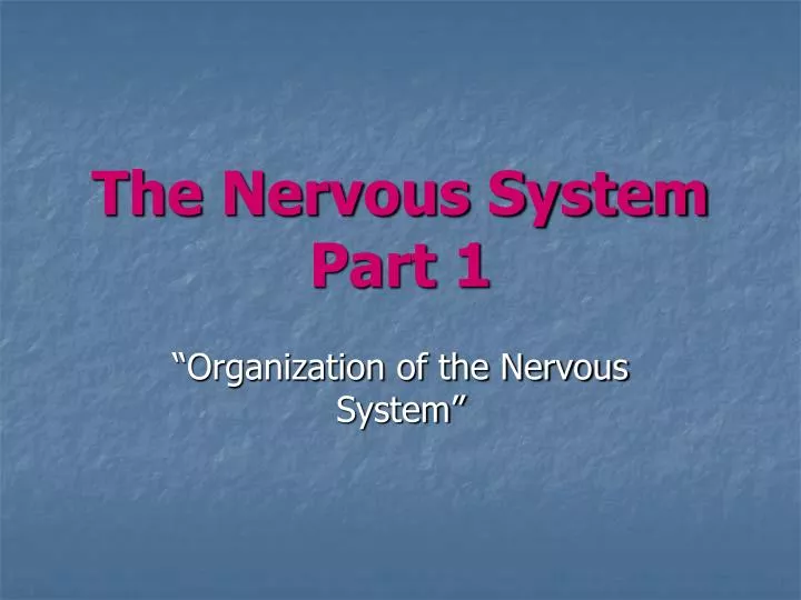 the nervous system part 1