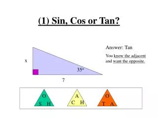 (1) Sin, Cos or Tan?