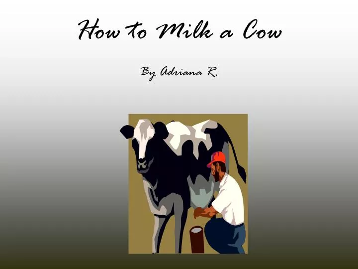 how to milk a cow