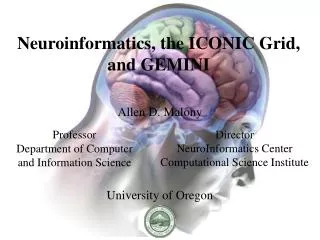 Neuroinformatics, the ICONIC Grid, and GEMINI