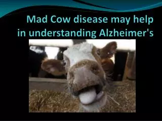Mad Cow disease may help in understanding Alzheimer's