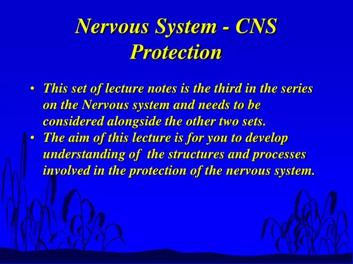 nervous system cns protection